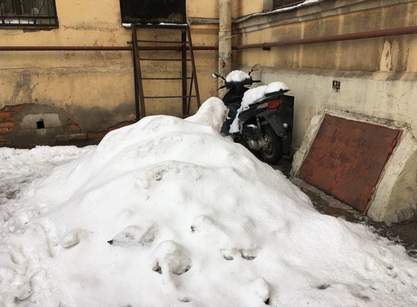 Жилком Петербурга выявил нарушения в уборке снега во всех проверенных районах