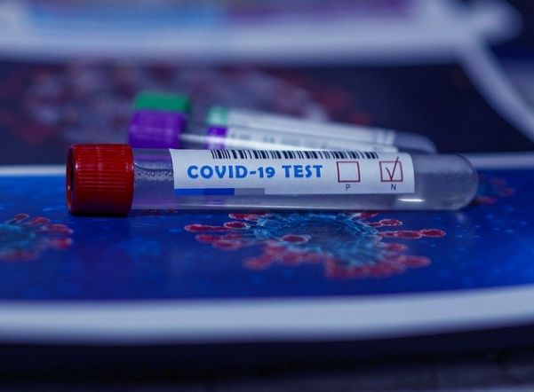 За последние сутки тест на коронавирус сдали более 23,5 тыс. петеребуржцев