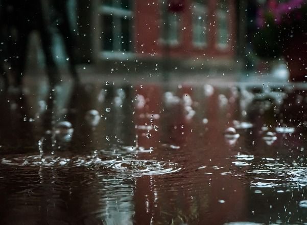В воскресенье в Петербурге начнутся долгожданные дожди
