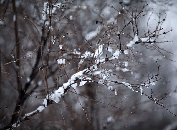 Синоптики пообещали снег в Ленобласти в субботу
