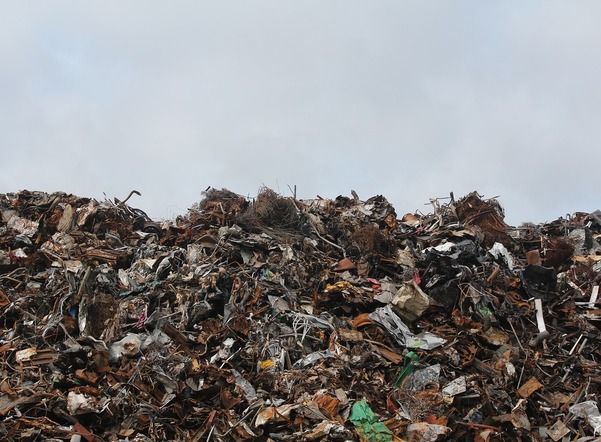 В Петербурге заработала «мусорная реформа»