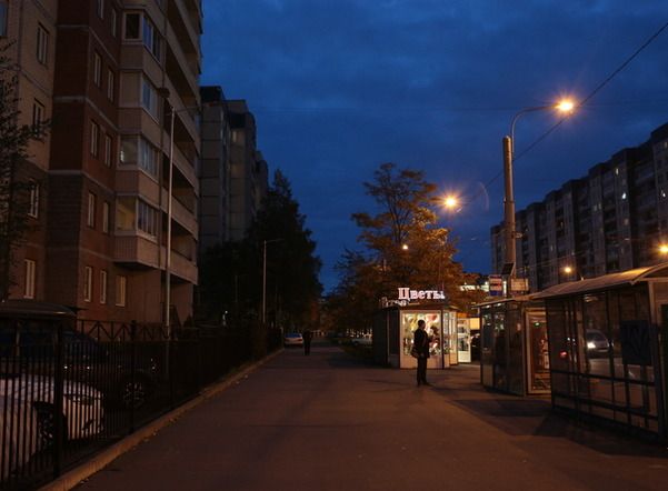 Освещение на 29 улицах Петербурга заменят до конца года