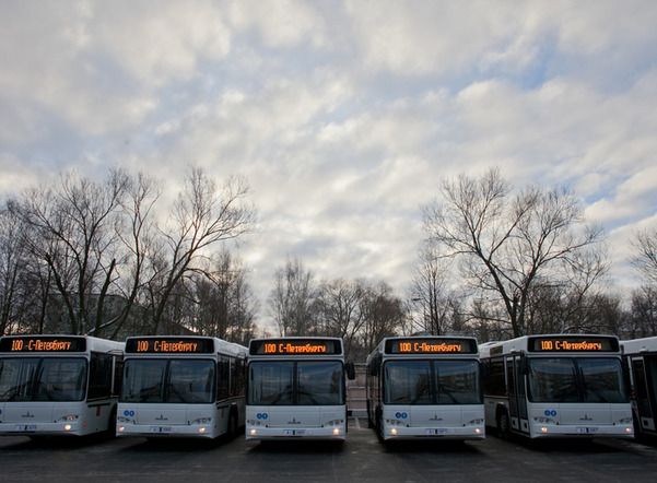 864 социальных автобуса уже работают в Петербурге