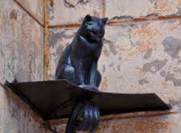 Памятник коту Елисею в Петербурге снова ограбили