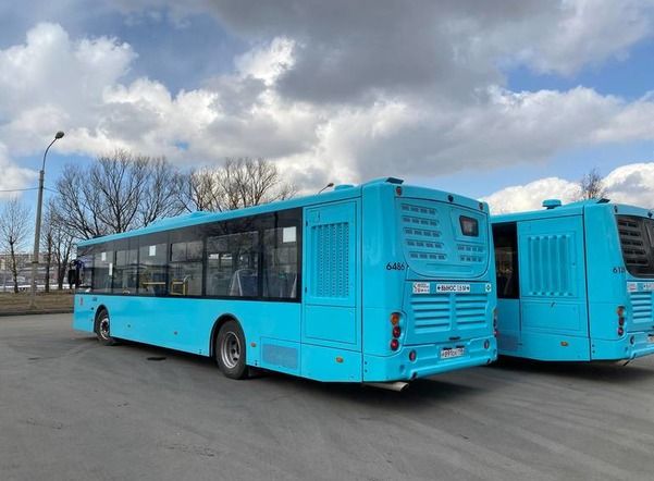 Специальные автобусы будут возить посетителей «Ночи музеев»