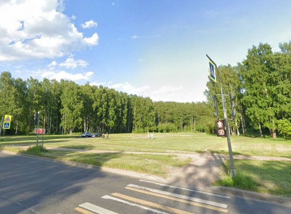 Одноклассник рассказал, каким был в школе зарезавший пенсионерку в Пискаревском парке петербуржец 