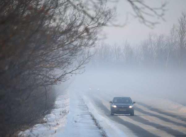 В Петербурге 25 февраля из-за циклона установится однообразная погода, напоминающая пятницу