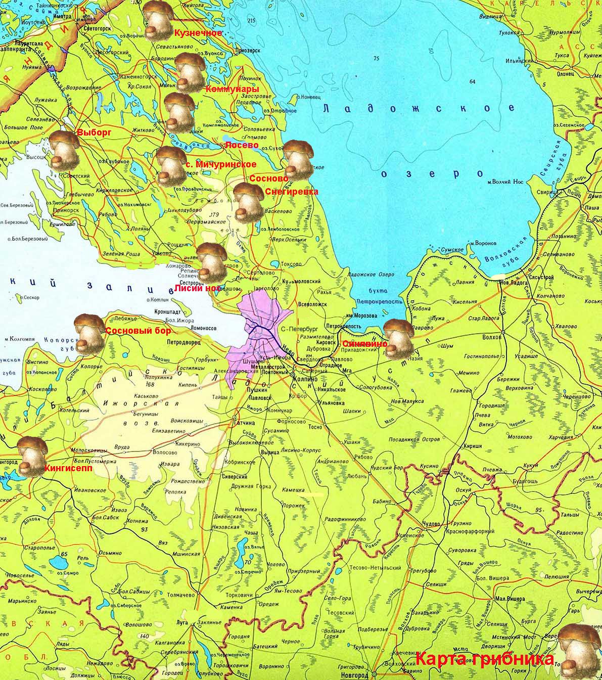 Карта санкт петербурга и ленинградской области с городами и поселками