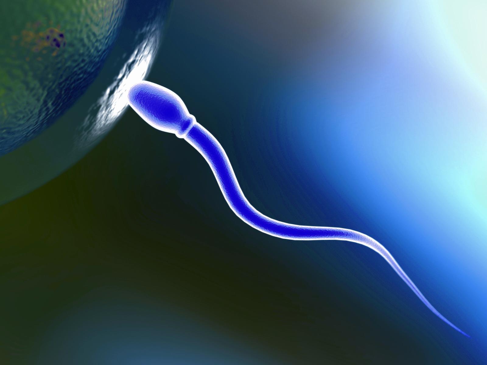 как сделать так чтобы пошла сперма 11 лет фото 85